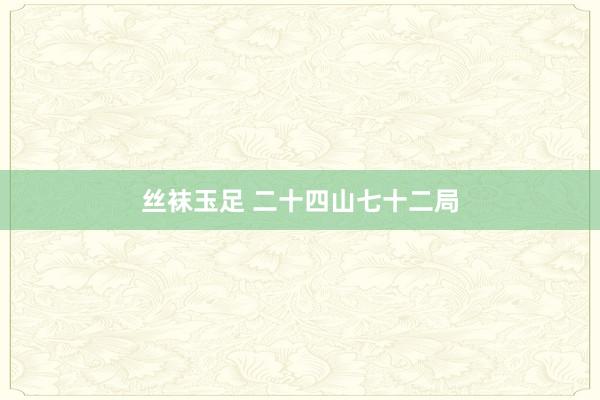 丝袜玉足 二十四山七十二局