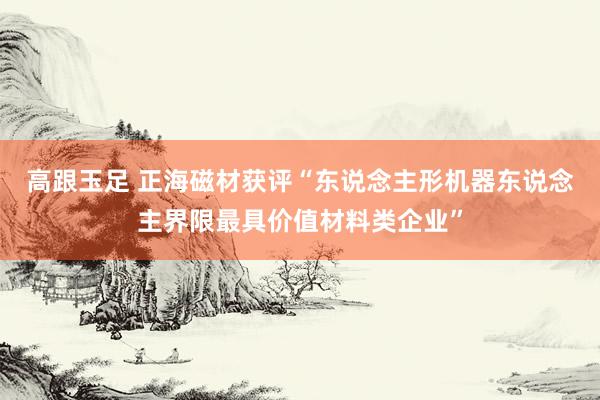 高跟玉足 正海磁材获评“东说念主形机器东说念主界限最具价值材料类企业”