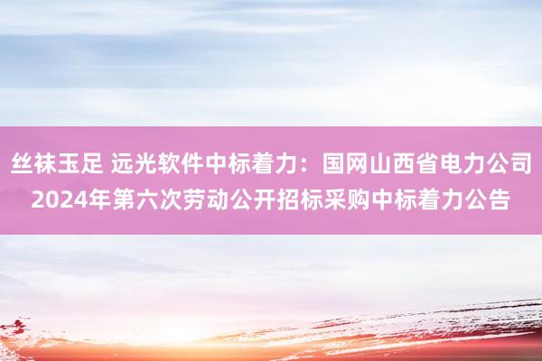 丝袜玉足 远光软件中标着力：国网山西省电力公司2024年第六次劳动公开招标采购中标着力公告
