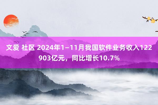 文爱 社区 2024年1—11月我国软件业务收入122903亿元，同比增长10.7%