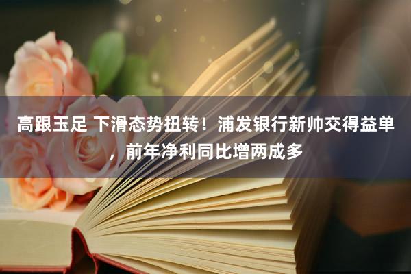 高跟玉足 下滑态势扭转！浦发银行新帅交得益单，前年净利同比增两成多