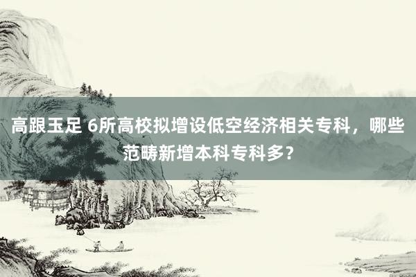 高跟玉足 6所高校拟增设低空经济相关专科，哪些范畴新增本科专科多？