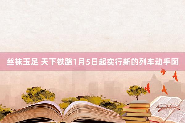 丝袜玉足 天下铁路1月5日起实行新的列车动手图
