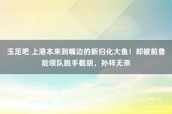 玉足吧 上港本来到嘴边的新归化大鱼！却被前鲁能领队脱手截胡，孙祥无奈