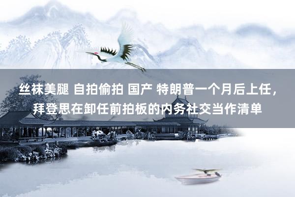 丝袜美腿 自拍偷拍 国产 特朗普一个月后上任，拜登思在卸任前拍板的内务社交当作清单