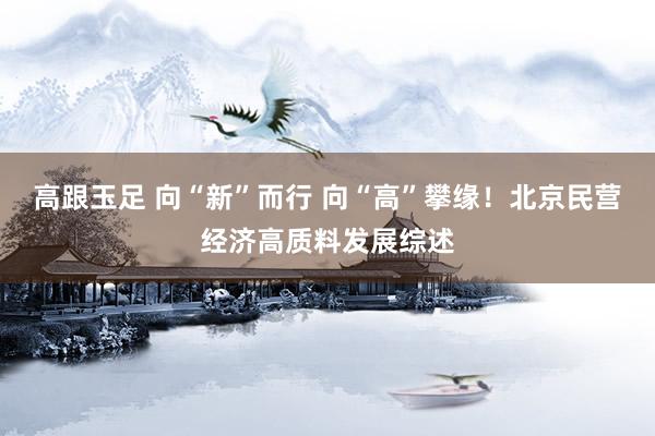 高跟玉足 向“新”而行 向“高”攀缘！北京民营经济高质料发展综述