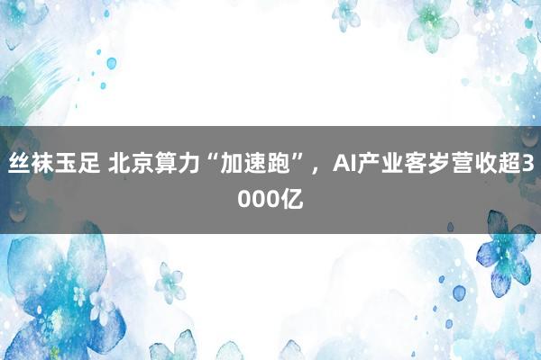丝袜玉足 北京算力“加速跑”，AI产业客岁营收超3000亿
