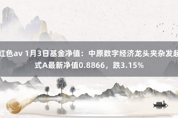 红色av 1月3日基金净值：中原数字经济龙头夹杂发起式A最新净值0.8866，跌3.15%