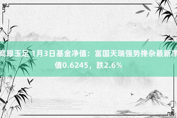 高跟玉足 1月3日基金净值：富国天瑞强势搀杂最新净值0.6245，跌2.6%