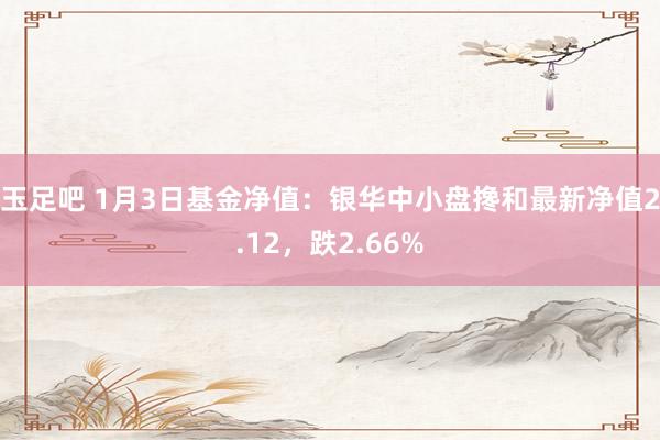 玉足吧 1月3日基金净值：银华中小盘搀和最新净值2.12，跌2.66%