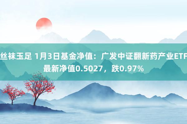 丝袜玉足 1月3日基金净值：广发中证翻新药产业ETF最新净值0.5027，跌0.97%