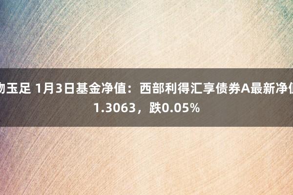 吻玉足 1月3日基金净值：西部利得汇享债券A最新净值1.3063，跌0.05%
