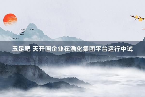 玉足吧 天开园企业在渤化集团平台运行中试