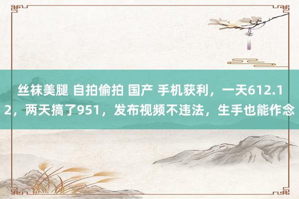 丝袜美腿 自拍偷拍 国产 手机获利，一天612.12，两天搞了951，发布视频不违法，生手也能作念