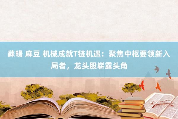 蘇暢 麻豆 机械成就T链机遇：聚焦中枢要领新入局者，龙头股崭露头角