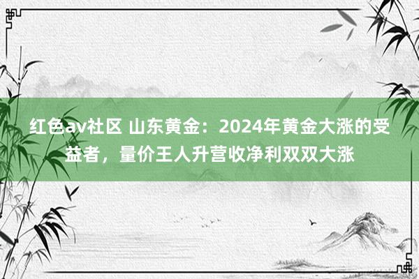 红色av社区 山东黄金：2024年黄金大涨的受益者，量价王人升营收净利双双大涨