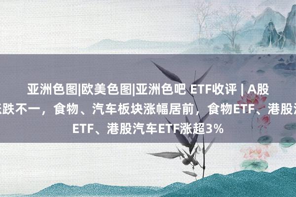 亚洲色图|欧美色图|亚洲色吧 ETF收评 | A股三大指数本日涨跌不一，食物、汽车板块涨幅居前，食物ETF、港股汽车ETF涨超3%