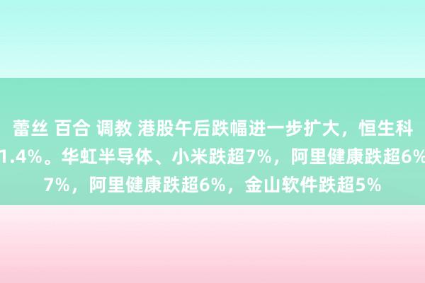 蕾丝 百合 调教 港股午后跌幅进一步扩大，恒生科技跌超3%，恒指跌1.4%。华虹半导体、小米跌超7%，阿里健康跌超6%，金山软件跌超5%