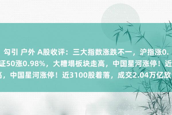 勾引 户外 A股收评：三大指数涨跌不一，沪指涨0.23%创指跌0.52%北证50涨0.98%，大糟塌板块走高，中国星河涨停！近3100股着落，成交2.04万亿放量722亿