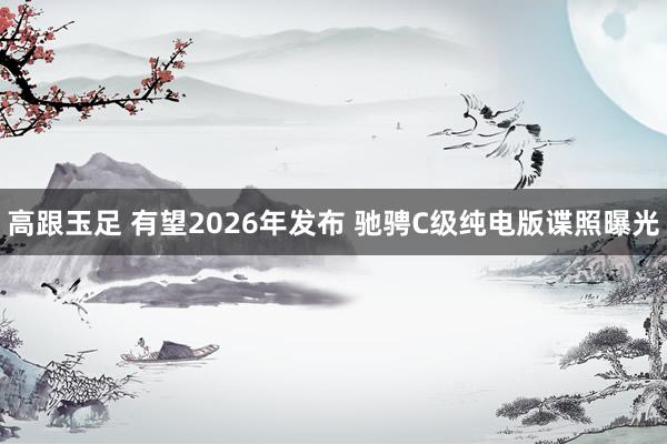 高跟玉足 有望2026年发布 驰骋C级纯电版谍照曝光