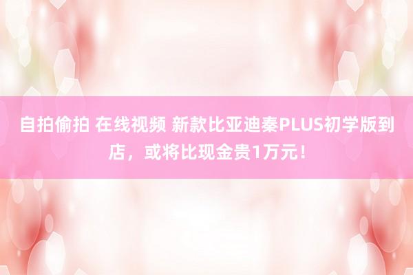 自拍偷拍 在线视频 新款比亚迪秦PLUS初学版到店，或将比现金贵1万元！