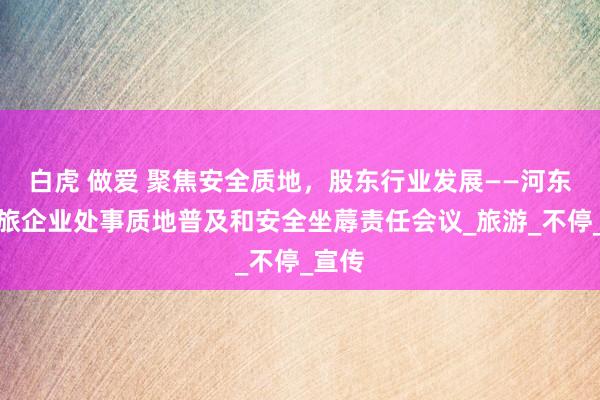 白虎 做爱 聚焦安全质地，股东行业发展——河东区文旅企业处事质地普及和安全坐蓐责任会议_旅游_不停_宣传