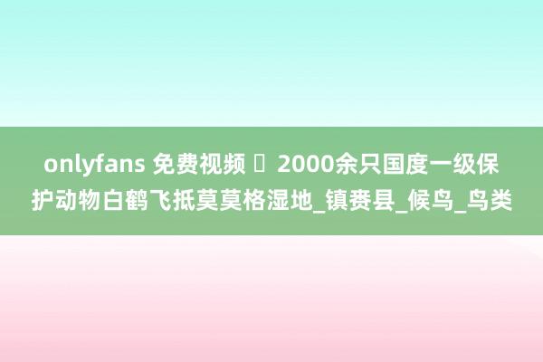 onlyfans 免费视频 ​2000余只国度一级保护动物白鹤飞抵莫莫格湿地_镇赉县_候鸟_鸟类