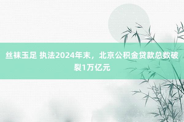 丝袜玉足 执法2024年末，北京公积金贷款总数破裂1万亿元