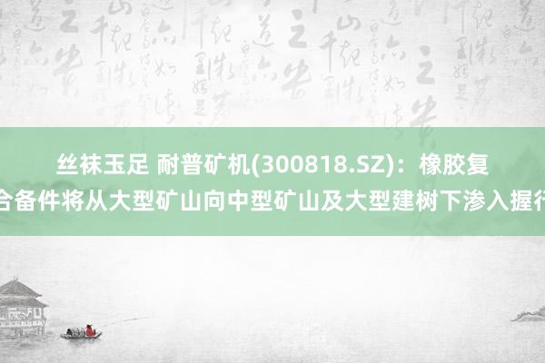 丝袜玉足 耐普矿机(300818.SZ)：橡胶复合备件将从大型矿山向中型矿山及大型建树下渗入握行