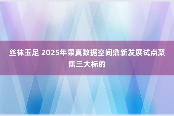 丝袜玉足 2025年果真数据空间鼎新发展试点聚焦三大标的