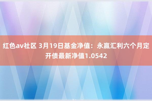红色av社区 3月19日基金净值：永赢汇利六个月定开债最新净值1.0542