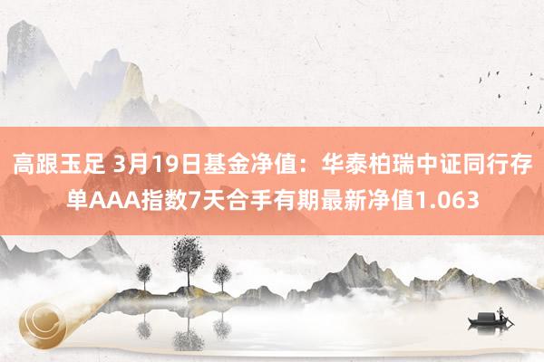 高跟玉足 3月19日基金净值：华泰柏瑞中证同行存单AAA指数7天合手有期最新净值1.063