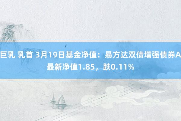巨乳 乳首 3月19日基金净值：易方达双债增强债券A最新净值1.85，跌0.11%
