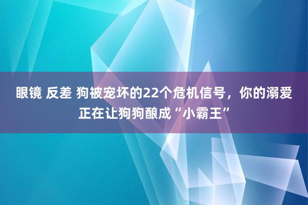 眼镜 反差 狗被宠坏的22个危机信号，你的溺爱正在让狗狗酿成“小霸王”