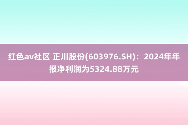 红色av社区 正川股份(603976.SH)：2024年年报净利润为5324.88万元