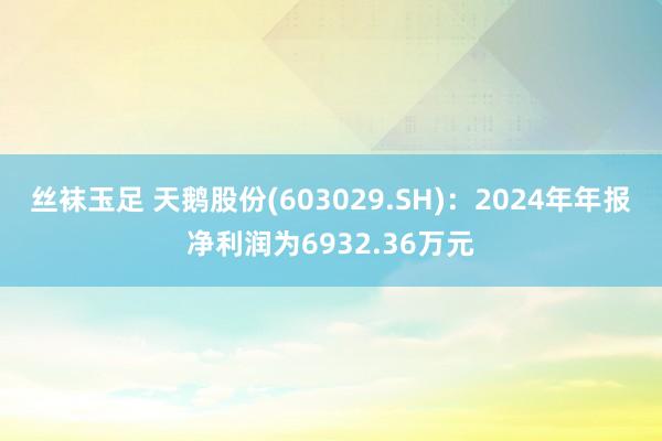 丝袜玉足 天鹅股份(603029.SH)：2024年年报净利润为6932.36万元