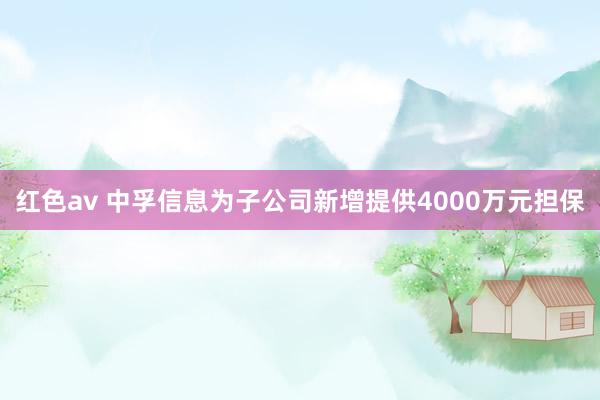 红色av 中孚信息为子公司新增提供4000万元担保
