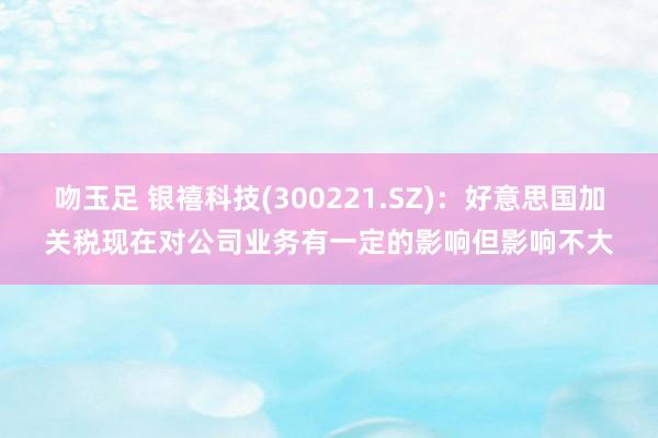 吻玉足 银禧科技(300221.SZ)：好意思国加关税现在对公司业务有一定的影响但影响不大