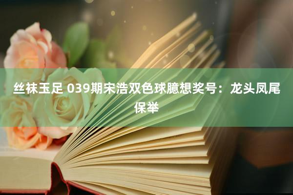 丝袜玉足 039期宋浩双色球臆想奖号：龙头凤尾保举