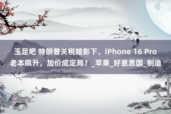 玉足吧 特朗普关税暗影下，iPhone 16 Pro老本飙升，加价成定局？_苹果_好意思国_制造