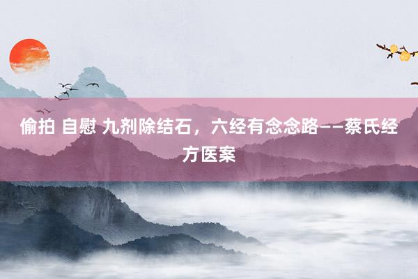 偷拍 自慰 九剂除结石，六经有念念路——蔡氏经方医案