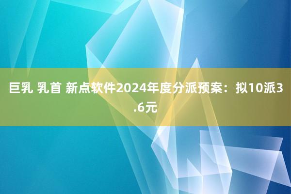 巨乳 乳首 新点软件2024年度分派预案：拟10派3.6元