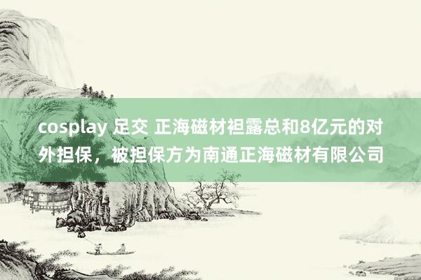 cosplay 足交 正海磁材袒露总和8亿元的对外担保，被担保方为南通正海磁材有限公司
