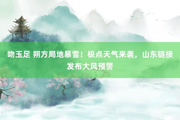 吻玉足 朔方局地暴雪！极点天气来袭，山东链接发布大风预警