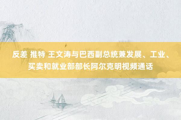 反差 推特 王文涛与巴西副总统兼发展、工业、买卖和就业部部长阿尔克明视频通话