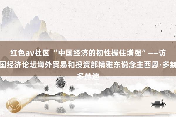 红色av社区 “中国经济的韧性握住增强”——访全国经济论坛海外贸易和投资部精雅东说念主西恩·多赫迪