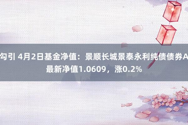 勾引 4月2日基金净值：景顺长城景泰永利纯债债券A最新净值1.0609，涨0.2%