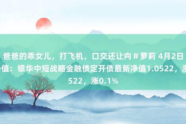 爸爸的乖女儿，打飞机，口交还让禸＃萝莉 4月2日基金净值：银华中短战略金融债定开债最新净值1.0522，涨0.1%