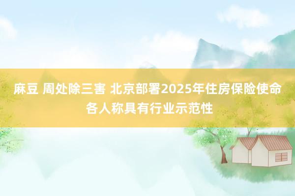 麻豆 周处除三害 北京部署2025年住房保险使命 各人称具有行业示范性