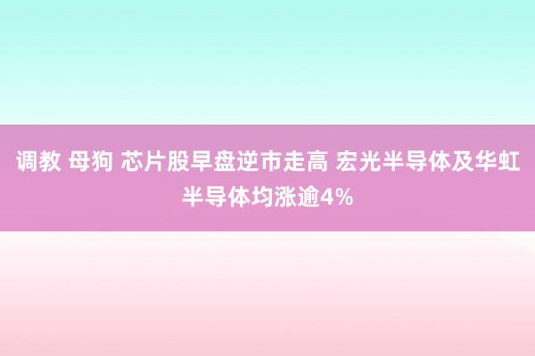调教 母狗 芯片股早盘逆市走高 宏光半导体及华虹半导体均涨逾4%